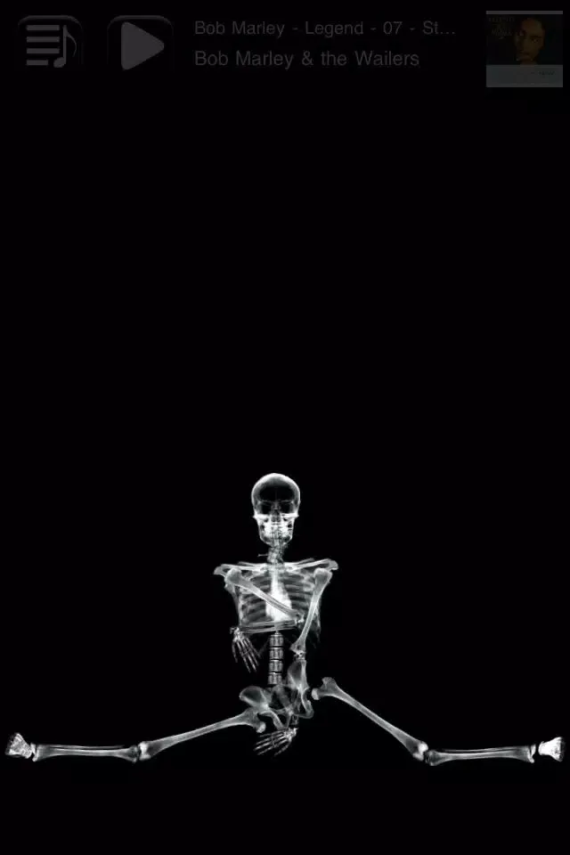 Skeletunes应用截图