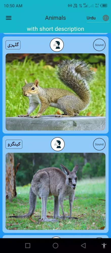 Zoo Speak Screenshots