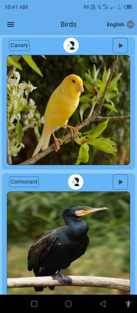 Birds Name for Kids Ekran Görüntüleri