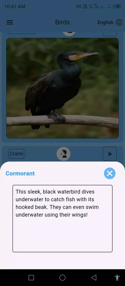 Birds Name for Kids Ekran Görüntüleri