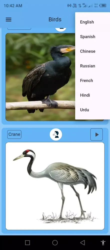 Birds Name for Kids Ekran Görüntüleri