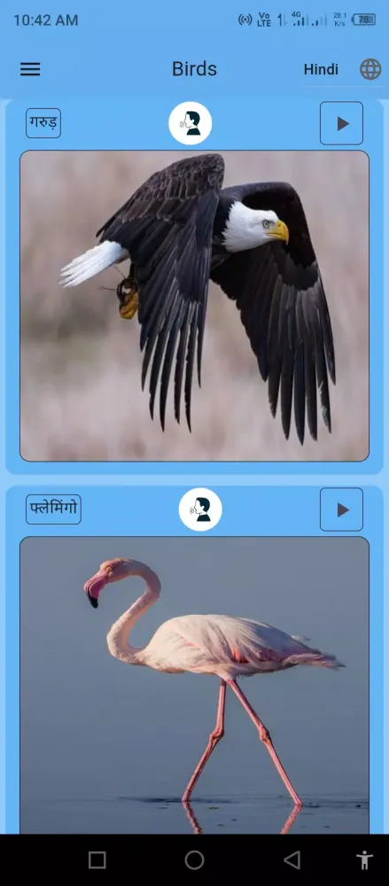 Birds Name for Kids Ekran Görüntüleri