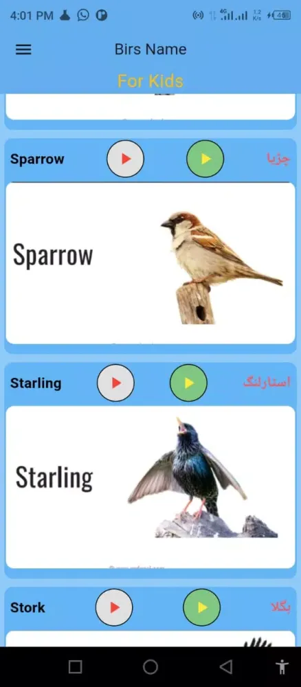 Birds Name for Kids Ekran Görüntüleri
