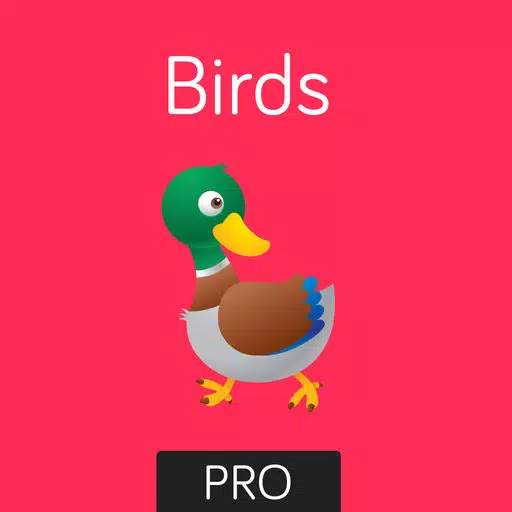 Birds Flashcard for babies and preschool Pro