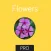 Flowers Flashcard for babies and preschool Pro