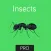 Insects Flashcard for babies and preschool Pro