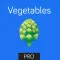 Vegetables Flashcard for babies and preschool Pro