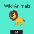 Wild Animals Flashcard for babies and preschoo Pro