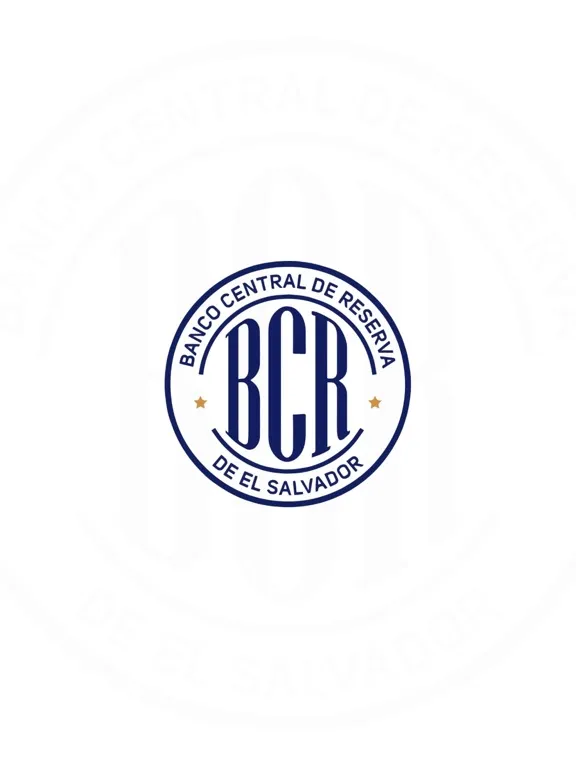Скриншоты BCRSV Firma365 iPad 