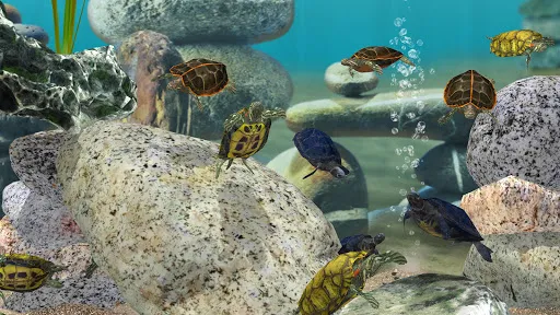 Fish Farm 3 - Aquarium应用截图