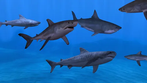 Fish Farm 3 - Aquarium应用截图