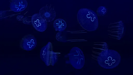 Fish Farm 3 - Aquarium应用截图