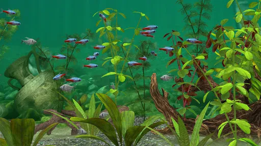 Fish Farm 3 - Aquarium应用截图