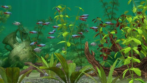 Fish Farm 3 - Aquarium-screenshot-5