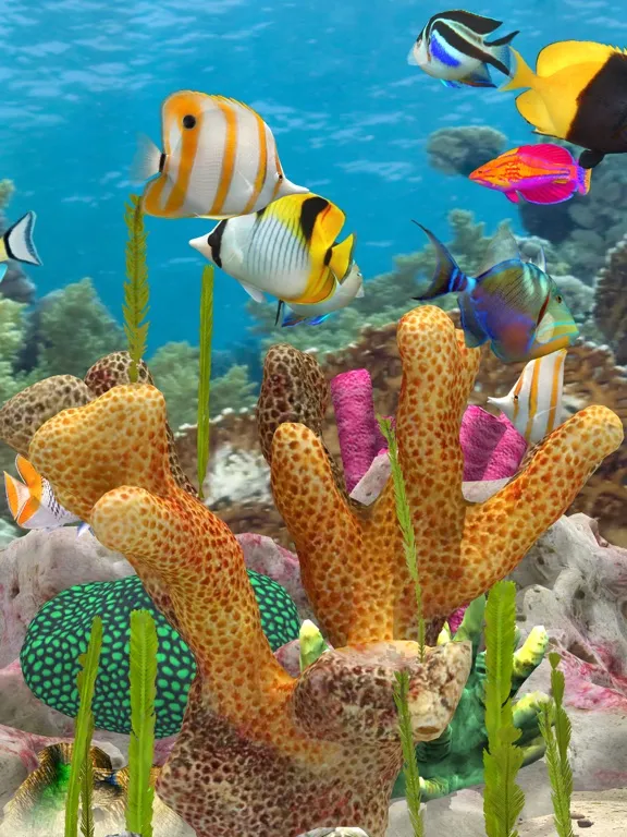 Fish Farm Merge iPad  Screenshots