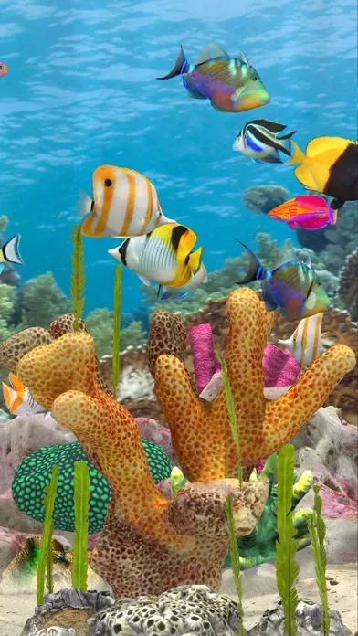 Fish Farm Merge Screenshots