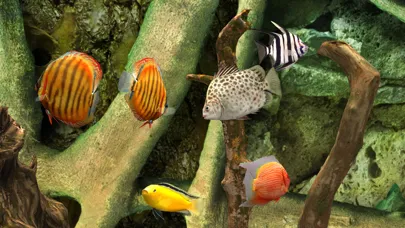 MyLake 3D Aquarium स्क्रीनशॉट