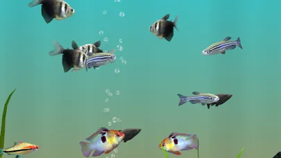 MyLake 3D Aquarium स्क्रीनशॉट