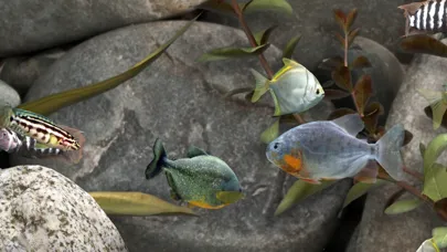 MyLake 3D Aquarium स्क्रीनशॉट