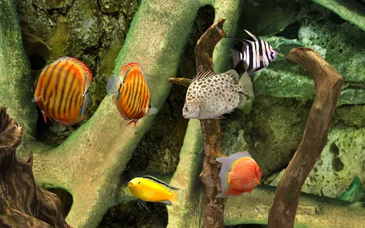 MyLake 3D Aquarium应用截图