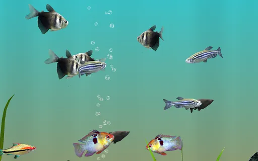 MyLake 3D Aquarium应用截图