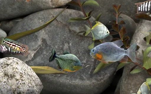 MyLake 3D Aquarium应用截图