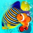 MyReef 3D Aquarium 3