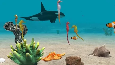 Seahorse 3D應用截圖