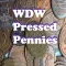 WDW Pressed Penny