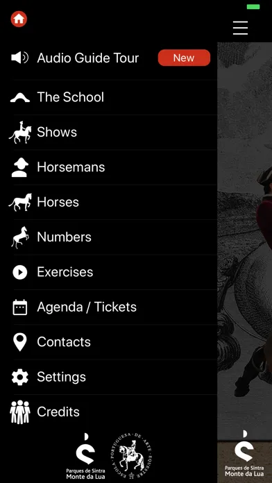 Ảnh chụp màn hình của Arte Equestre