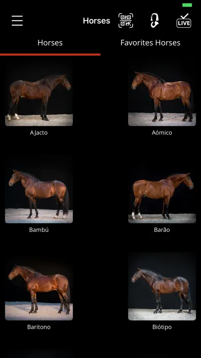Ảnh chụp màn hình của Arte Equestre
