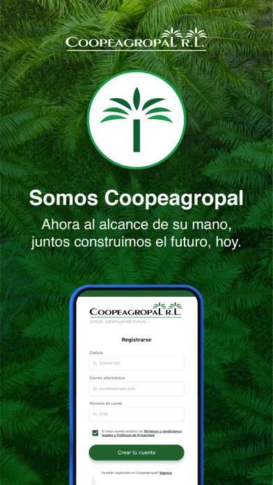 Tangkapan layar Coopeagropal R.L.
