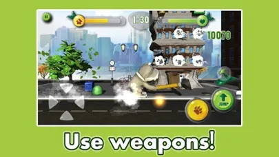 تصاویر Koala Crush
