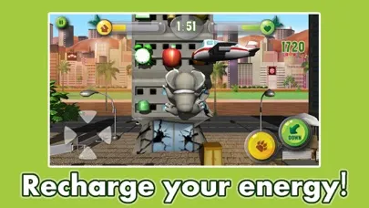 تصاویر Koala Crush