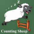 Counting Sheep Counting Sheep