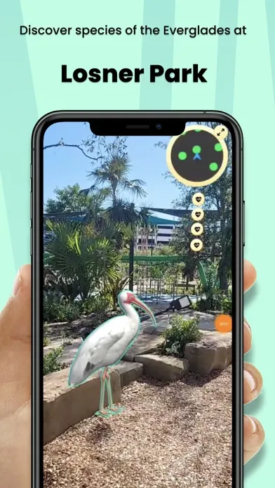 Everglades Safari AR Screenshots