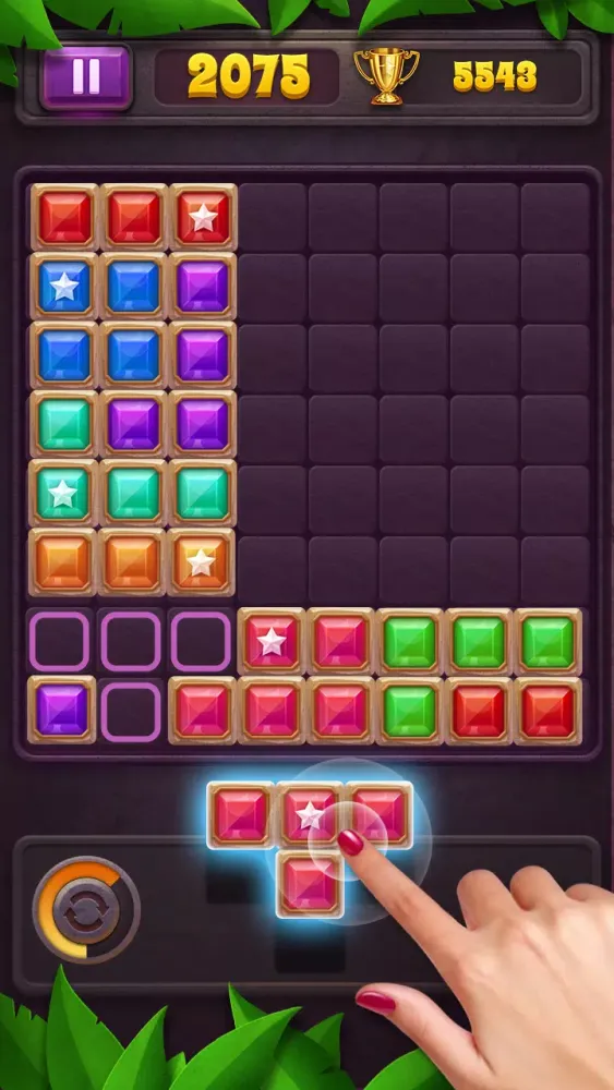Block Puzzle Screenshots