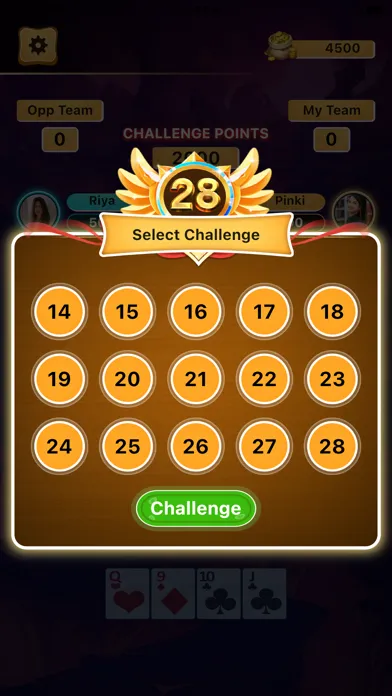 Card Game 28 Screenshots