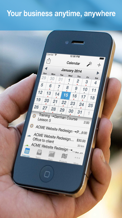 Cube Time & Expense Pro应用截图