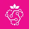 BitterStrawberry Publisher BitterStrawberry Publisher