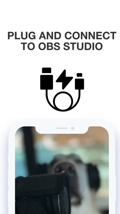 OBS Camera lossless streaming Screenshots