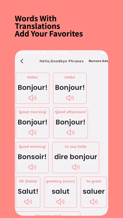 Learn French For Beginners!应用截图