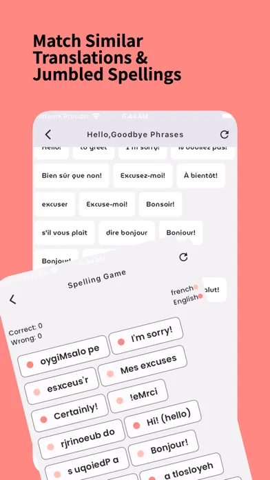Learn French For Beginners!应用截图