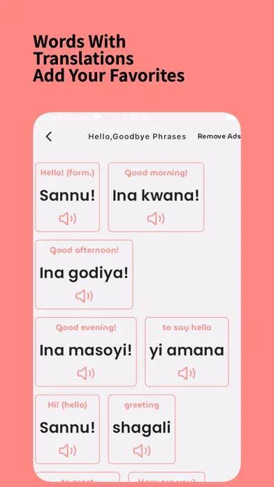Learn Hausa For Beginners スクリーンショット