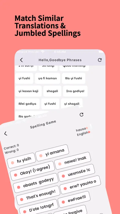 Learn Hausa For Beginners スクリーンショット