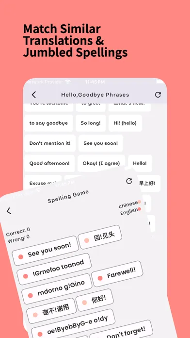 Learn Chinese: For Beginners应用截图