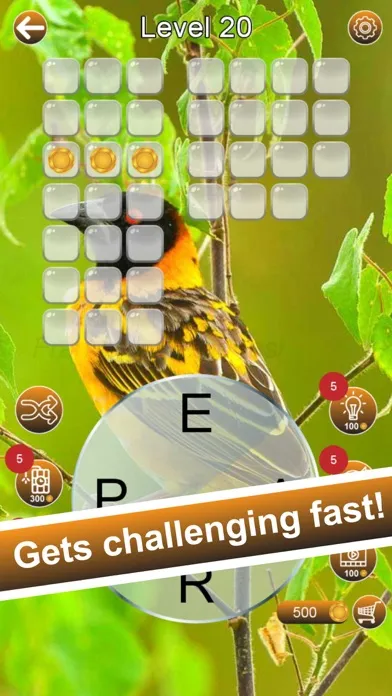 Word Soar - Fun Puzzle Game স্ক্রিনশট