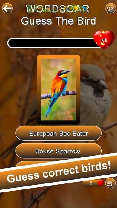 Word Soar - Fun Puzzle Game স্ক্রিনশট
