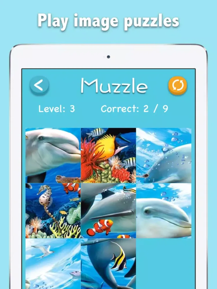Скриншоты Muzzle: Images and Numbers Free Puzzle Challenge iPad 