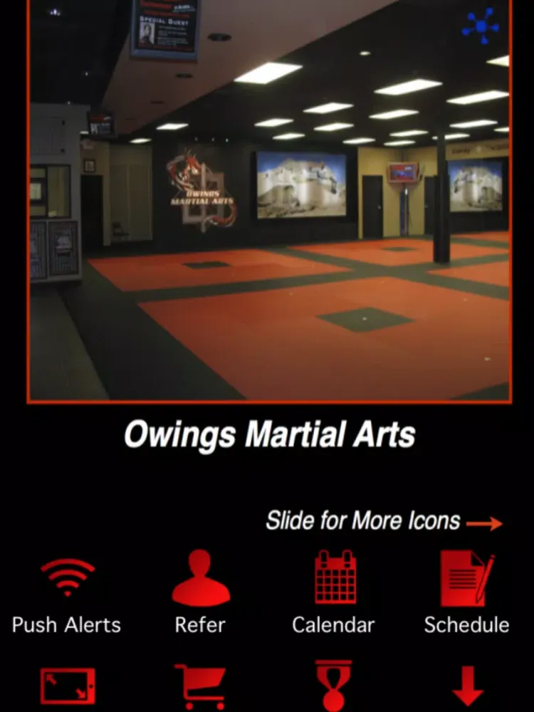 ภาพหน้าจอของ Owings ATA Martial Arts iPad 